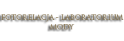 Fotorelacja - Laboratorium Mody