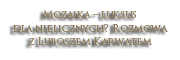 Mozaika – luksus dla nielicznych?